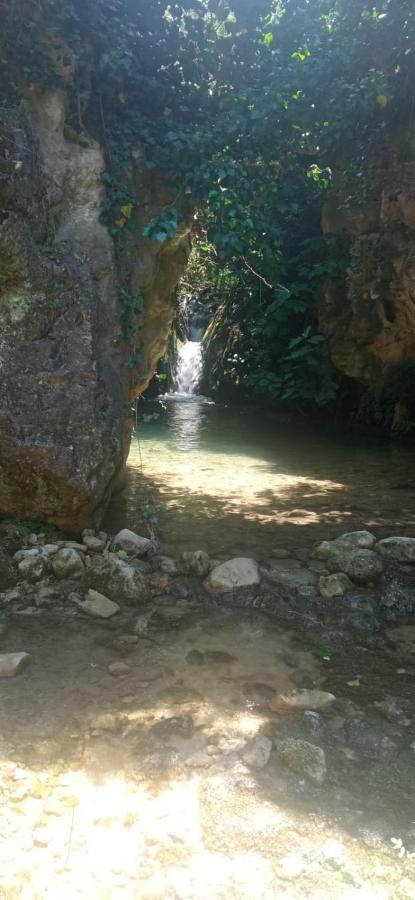 Habitacion De La Marquesa Alcoleja Luaran gambar